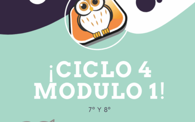 Ciclo IV Modulo 1