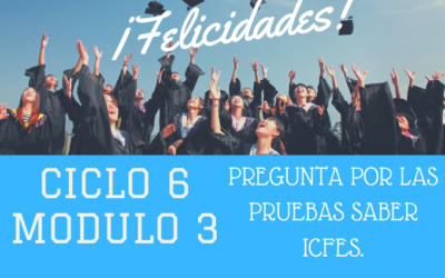 Ciclo VI Modulo 3